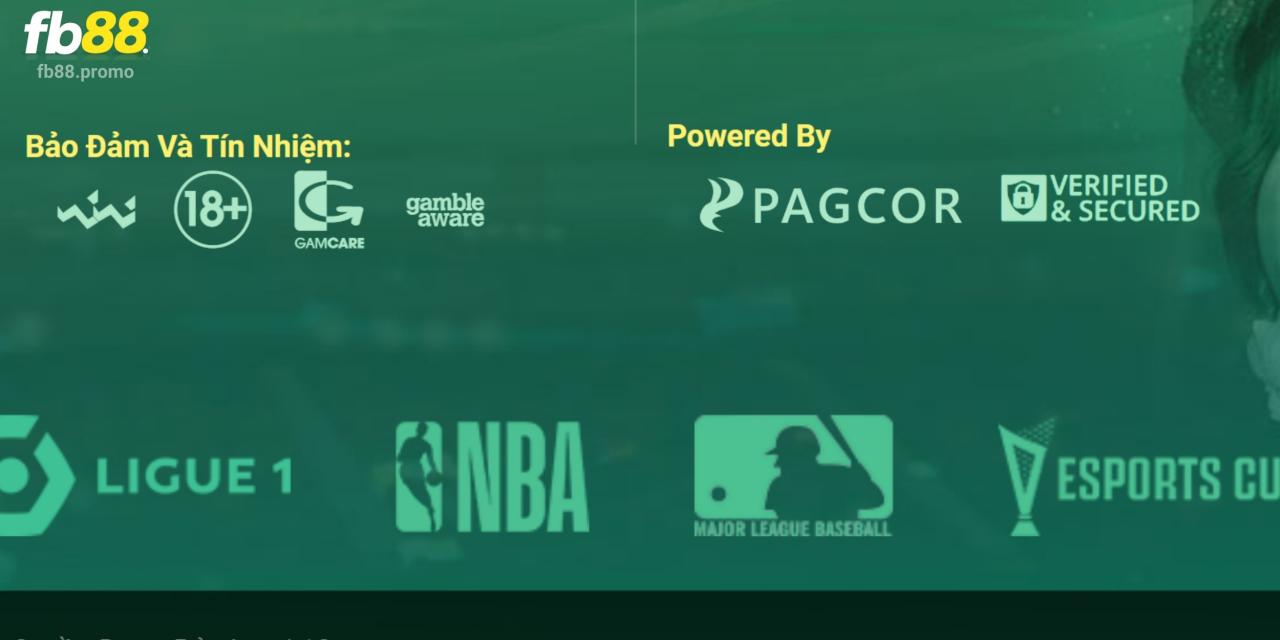 Tổng Hợp Đầy Đủ Giấy Phép Hoạt Động Uy Tín Từ Nhà Cái FB88 2 Chứng chỉ kinh doanh đảm bảo quyền lợi của khách hàng